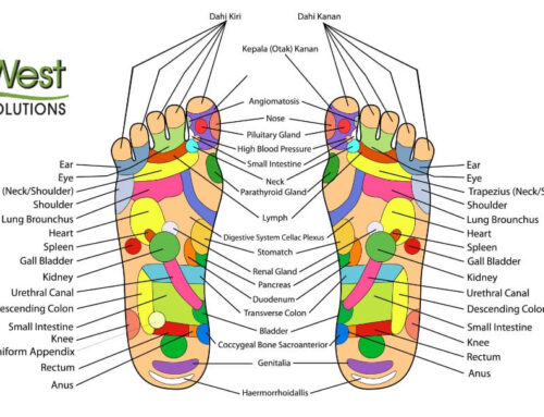 What Are Acupuncture Meridians? How Do They Work?